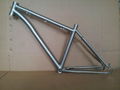 Titanium bicycle frames 