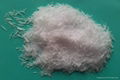 NF-13  sodium cyclamate ( needle) 1