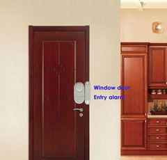 Door window entry alarm