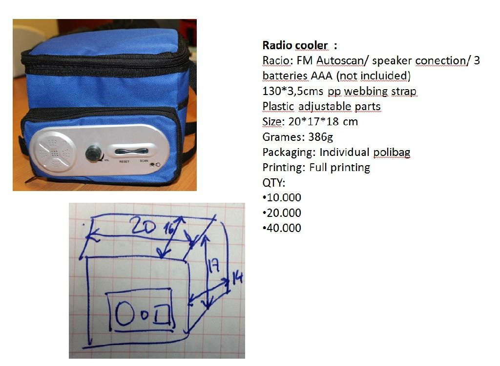 Gray reusable 600 D pvc printing Radio picnic Trolley Cooler bag with large capa 4