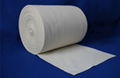 Poly Phenylene Sulfide Felt 1