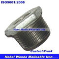 Galvanized Malleable Iron Pipe Fitting