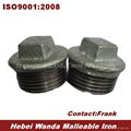 Galvanized Malleable Iron Pipe Fitting Plug 1