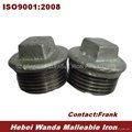 Galvanized Malleable Iron Pipe Fitting Plug