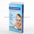 8 Hours Lasting Body Temperature Reducing Patch Cooling Gel Sheet 5