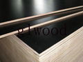 Black filmfaced plywood