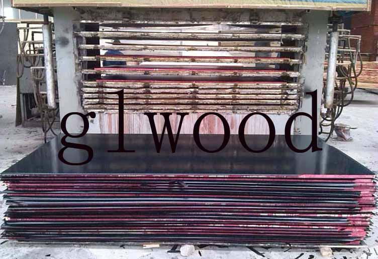 Production line of plywood