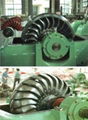 Inclined Jet Hydro Turbine Generator/water turbine