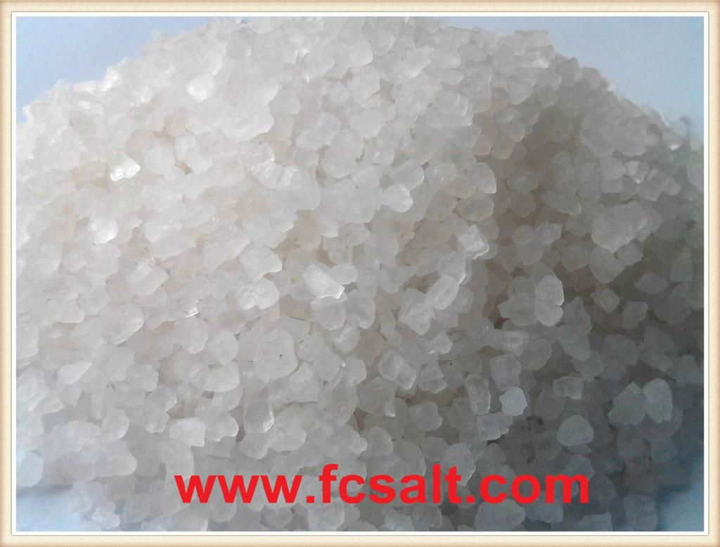 Deicing Salt 3