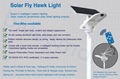 MiL FLY HAWK solar street light 3