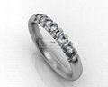 stainless steel ring 1