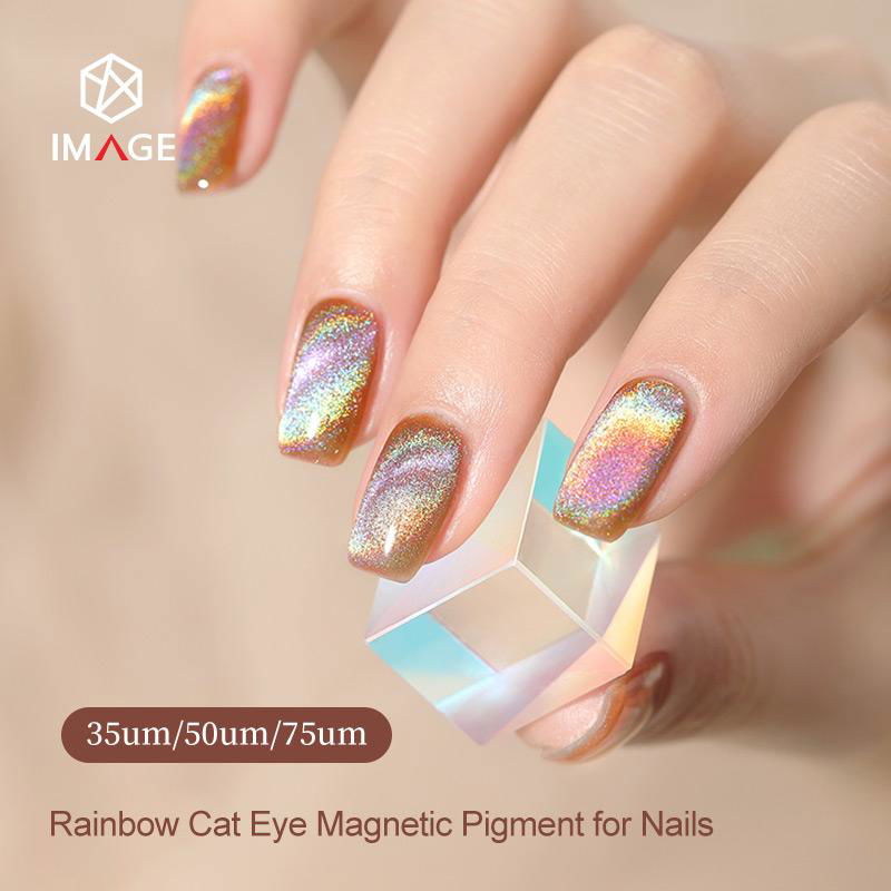 Chameleon Ultra Fine Magnetic Cat Eye Holographic Pigment for Nail Art 3