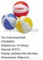 Colorful Beach Ball(CM-BB003) 5
