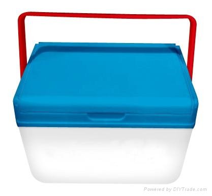 mini cooler box