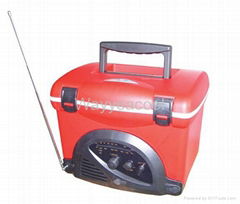 Radio ice cooler box