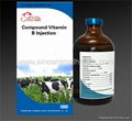 Compound Vitamin B Injection 1