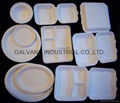 Sustainable Biodegradable Sugarcane Tableware 1