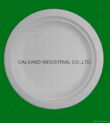 Bleached Bagasse Pulp Round Plate