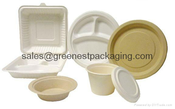 Biodegradable Compostable Disposable Sugarcane/Bagasse Tableware