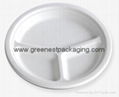 Biodegradable 3 compartment bagasse