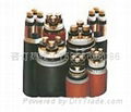 VV VLV vv22 power cable manufacturer