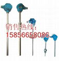 Explosion proof thermal resistance manufacturer 1