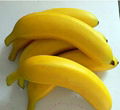 Artificial fruits banana for home decoration 