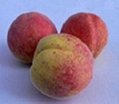 Artificial fruits Peach for decoration