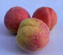 Artificial fruits Peach for decoration 