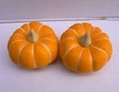 Artificial pumpkin for holloween