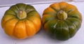 Artificial pumpkin for holloween decoration 2