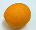 Decorative fruits orange  1