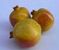 Artificial fruits pomegrante