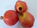 Artificial fruits pomegrante  2