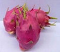 Artificial fruits pitaya  1