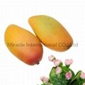 Decorative mango for display  4