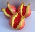 Artificial fruits pomegrante  3