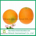 Decorative fruits orange  3