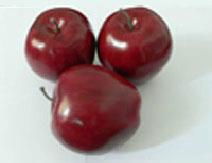 Aritificial foam red apple for decor 