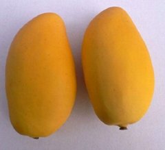 Fake fruit mango