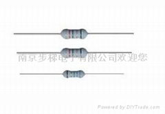 金属高阻玻璃釉电阻器RI40