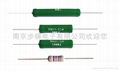 直插式被漆线绕电阻器RX21 1
