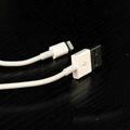 iPhone5 usb cable 2