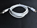 iPhone5 usb cable 3