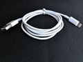 iPhone5 usb cable