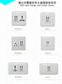 Multi-function Wall Sockets(with 2 USB outlets)