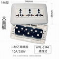 WFL系列高级万用插座 16