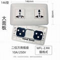 WFL系列高级万用插座 20