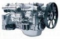 SINOTRUK HOWO Euro Diesel Engine (WP10)       4