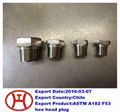 ASTM A182 F53 hex plug 1